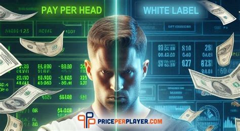 pay per head sportsbook|pay per player sportsbook.